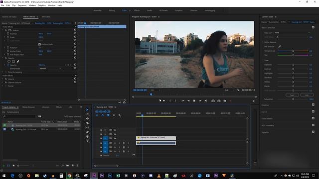 Premiere Pro 2019 - How To Do Reverse Effect
