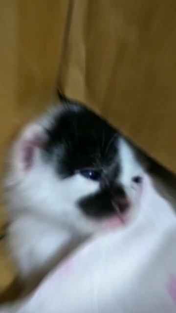 Dac5109f243023c89f42cf486cbc3b00