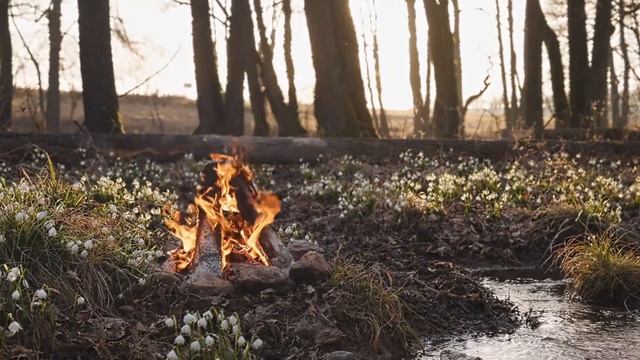 71292c754312ad6b81681def41df7f93