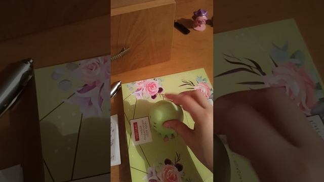 Собачка Оливка И Сквиши🫶