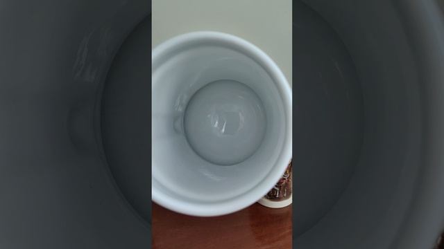 VID_20250406_132937.mp4