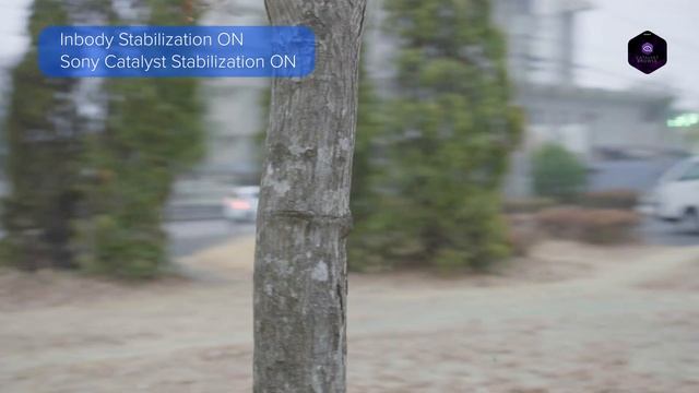 【손떨림 보정 프로그램】 실제 현장에서 쓰이는 카메라 워크를 통한 보정 결과를 비교