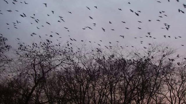 Вот и осень пришла