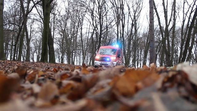 OSP Kanie Prezentuje Nowego   Forda Transita Custom/Frank Cars