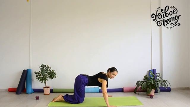 Анна Лобутева - Yoga. Урок 1 Йога на позвоночник