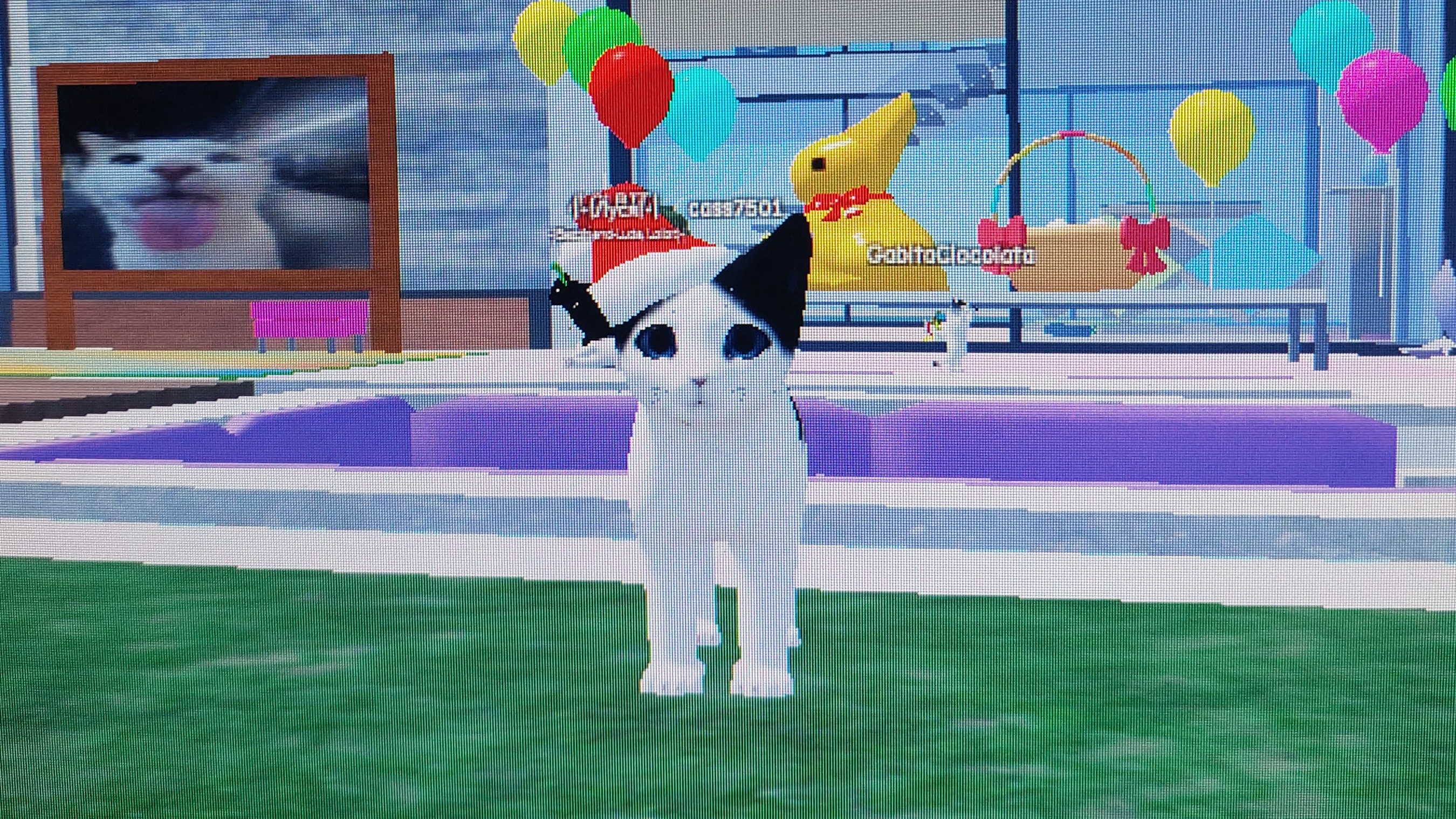 29dc18dc4adef1d7ac22fa9bea4258dc