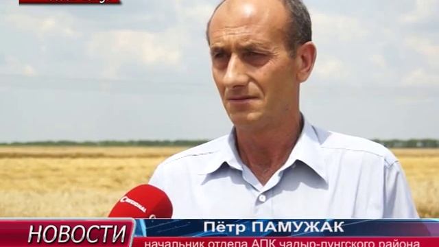 Уборка урожая 2014 в Гагаузии