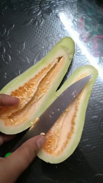 #naturelovers #shots #terracegardning