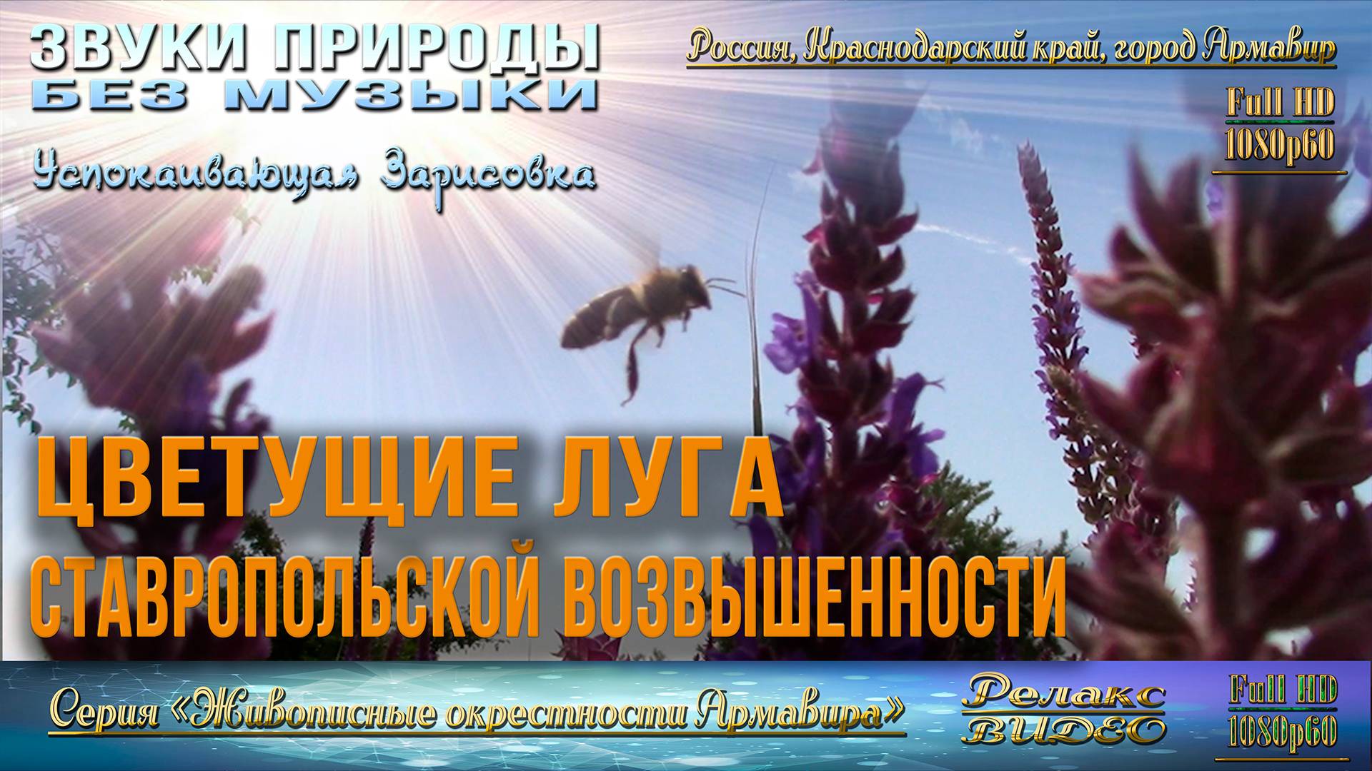 Цветущие луга Ставропольской возвышенности. 29 мая 2024 год.