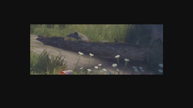 Cropping In Premiere Vs Vegas