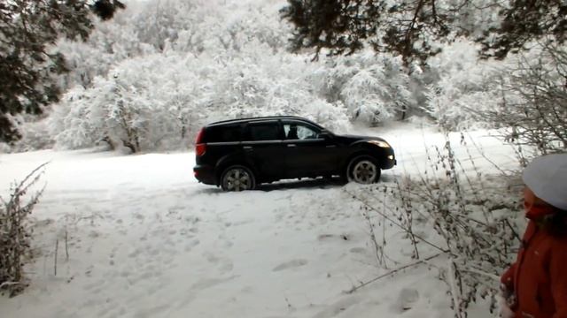 Первый зимний выгул Ховера