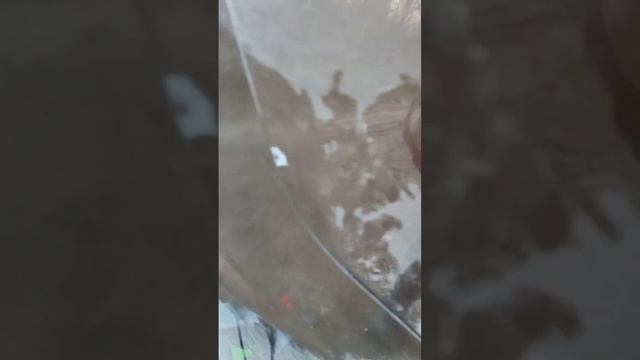 Владимир С. ветка