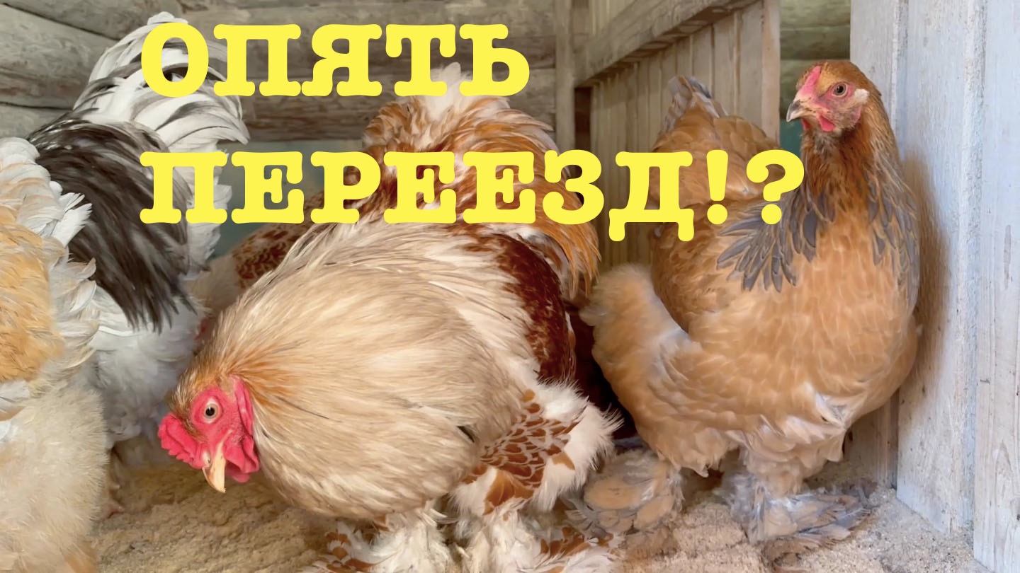 #171. Субботник. Су-вид. [Жизнь на своей земле]