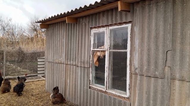 Как мы строили курятник.