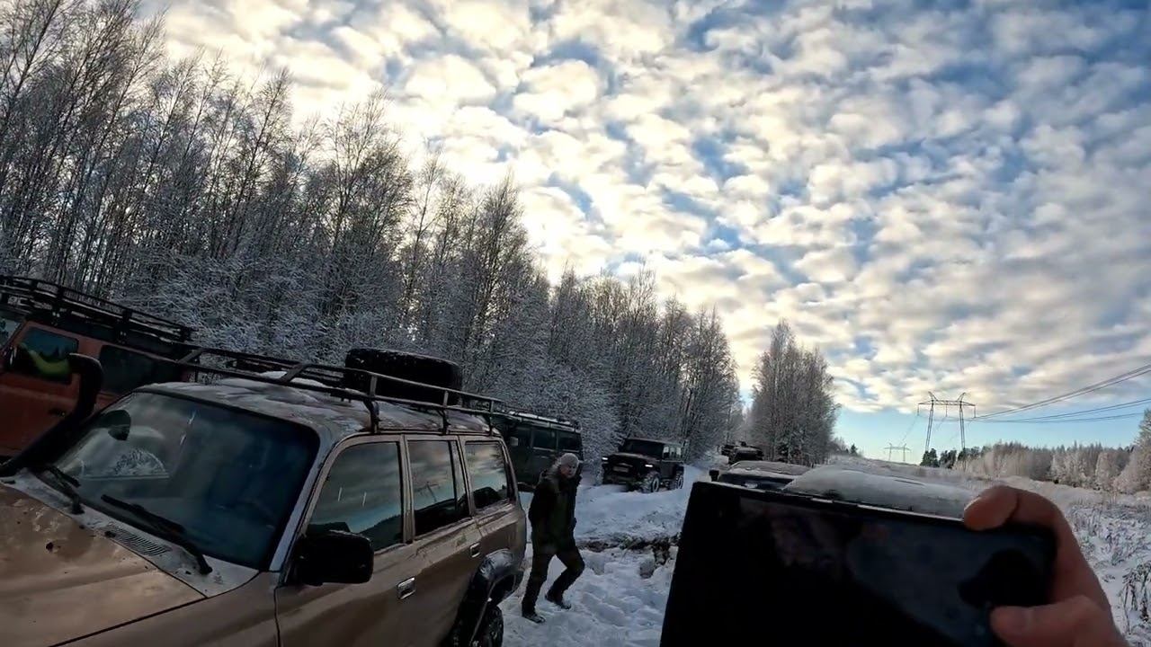 ЛЭПка 3 января 2025 г.