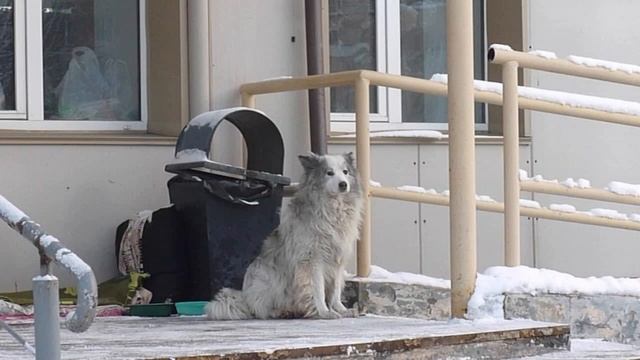 C7347af1d8fe05f23c8b8ca24884f4af