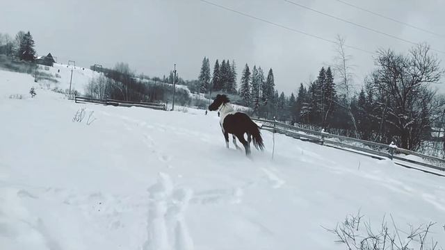 Славське 2К21