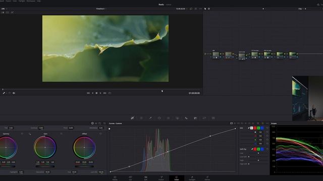 Colorgrading .braw to Kodak D60 || Grade'n'chill - EP.01||