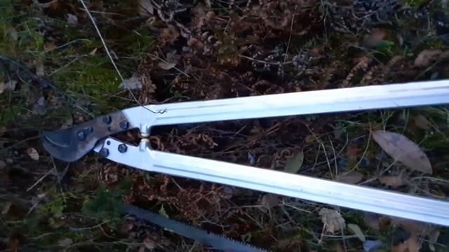 Yosemite Area Trail Pruning (Silky Bigboy And Felco Loppers)