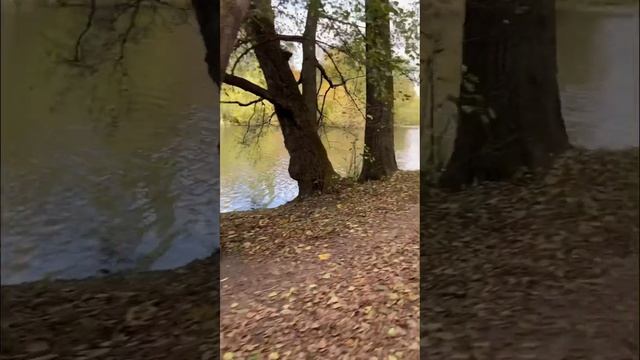 C307a18a576de4a60beb94e8e691e18d