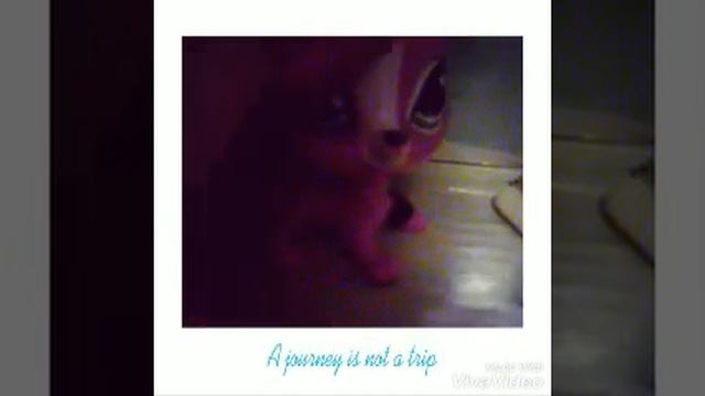 мои видео редакторы