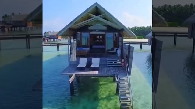 Бунгало Maldives