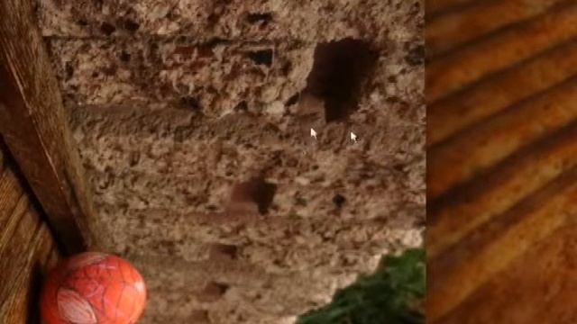 Adobe Premiere Pro 2.0 Clone Test