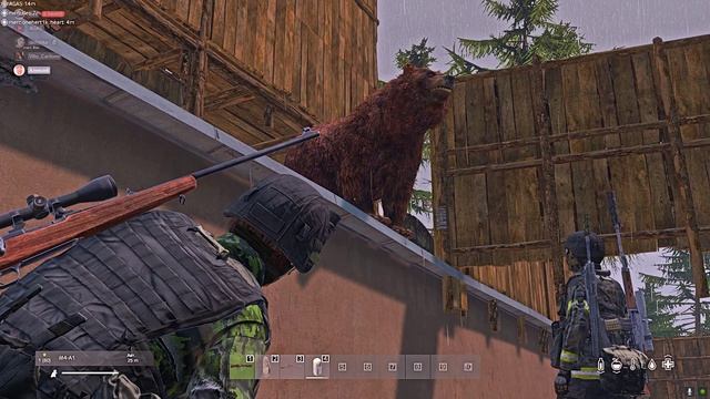 DDishka & MERC Домашний мишка :)