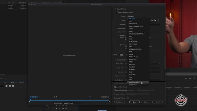 How To Export Audio Only In Premiere Pro