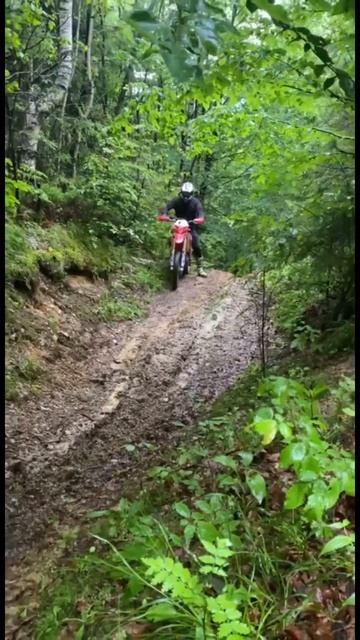 Beta😻 #moto #reels #гори #мотоцикл #природа #спорт #fun #rek #реки