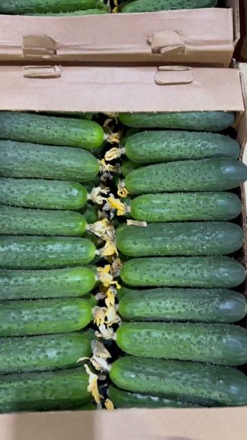 Фрукты овощи Ленинградский рынок#amazing#frutis#shorts#Черешня#Ананас#Клубника#Папайя#Персик#Малина