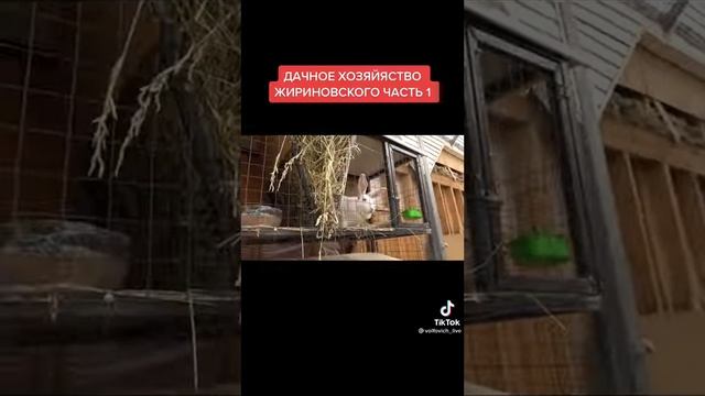 Жириновский жжет! Дачное хозяйство Жириновского Владимира Вольфовича