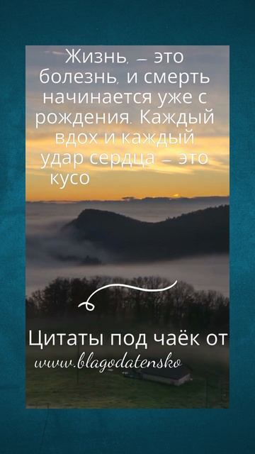 #8 Цитаты под чаёк с вкусняшками от Www.blagodatenskoe.com #shorts  #цитатыизкниг #мотивация  #отды