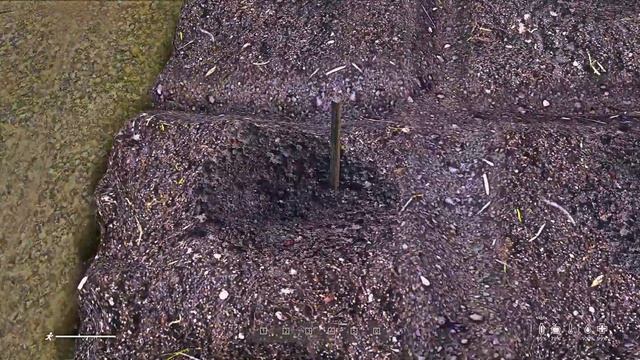 Как вырастить канабис в Dayz.