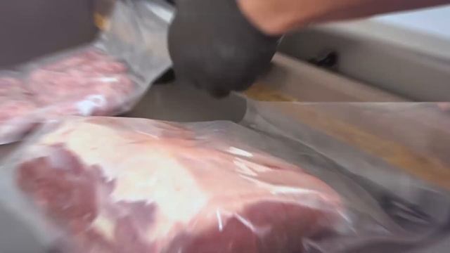 Seladora Vácuo De Plataforma DZ600