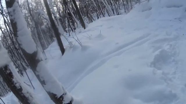 Как провести выходные ?