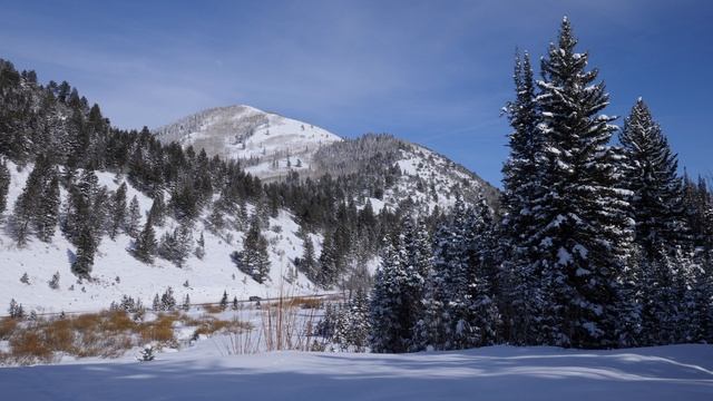 D5b6b58e972757560aa6f02cce42edc0