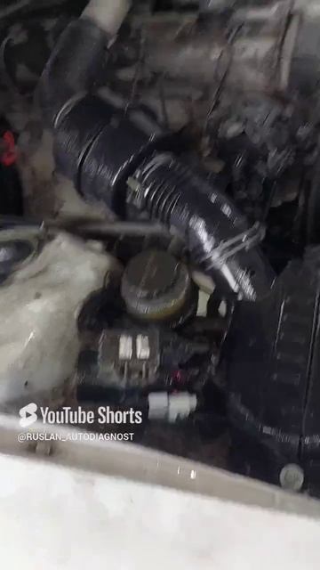 сырость приносит неприятности.