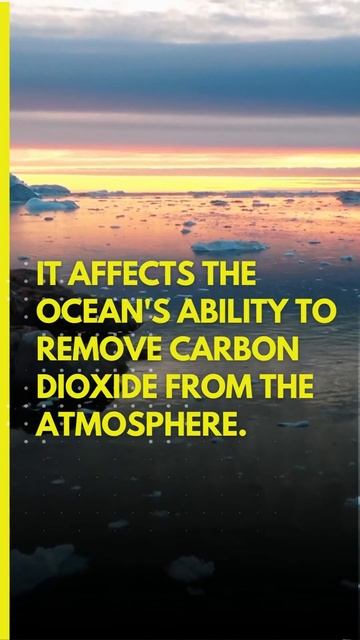 How Climate Change Is Affecting Oceans. | Climate Change #shorts #climatechange