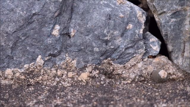 F100631f624480126e3963b6033133ca