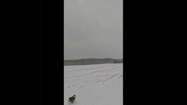 Апрельский снег. GoPro