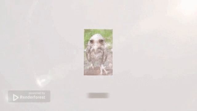 Солевая сова