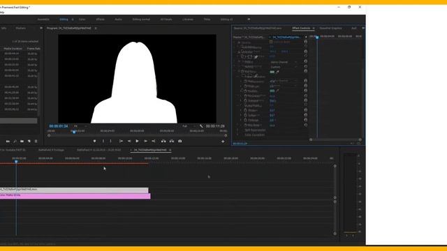 Adobe Premiere Pro: Get Perfect Chroma Key From Green Screen