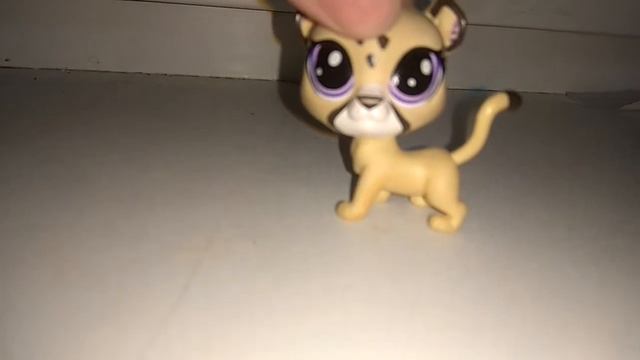 Видео для Котейка стар и Дарья маслак😭😧😩