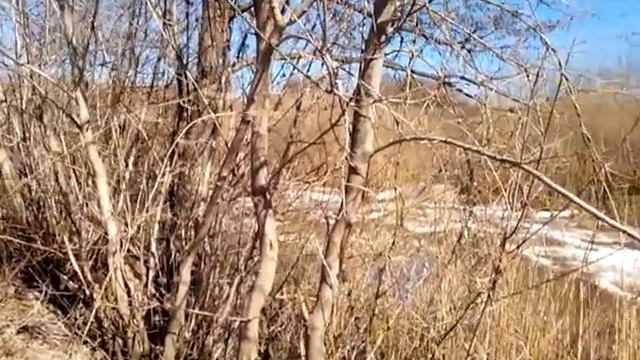 *** Весна в деревне. 2015 ***