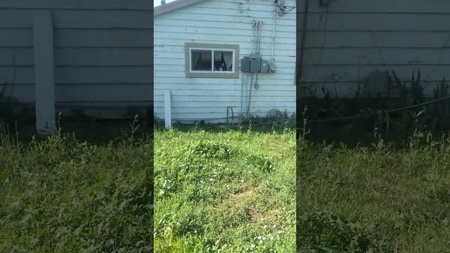 F96feae3813318f89473e247b5afd55f