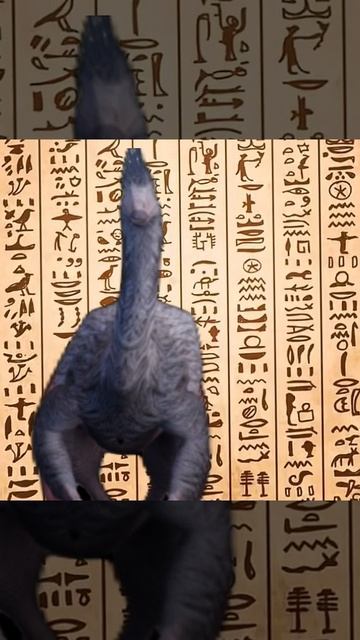 The Cursed|видео по курседу|