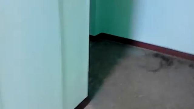 Лифты Otis MCS-300 @ 11-й мкр. Зеленоград, к1106, Силино, Зеленоград, Москва, Россия