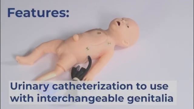 МирМанекенов