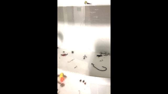 Eb88da56377789af8972dfef4234f299